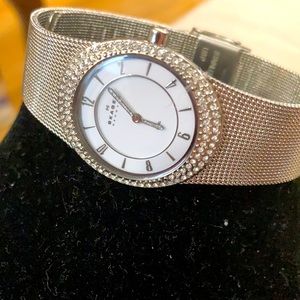 Skagen Watch